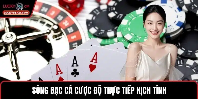 Sòng bạc cá cược độ trực tiếp kịch tính