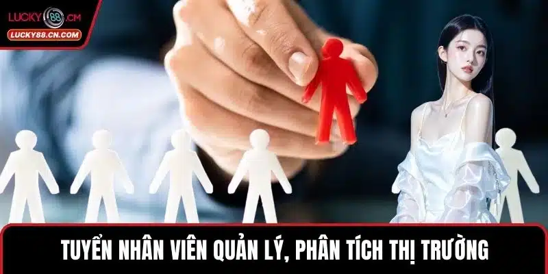 Tuyển nhân viên quản lý, phân tích thị trường
